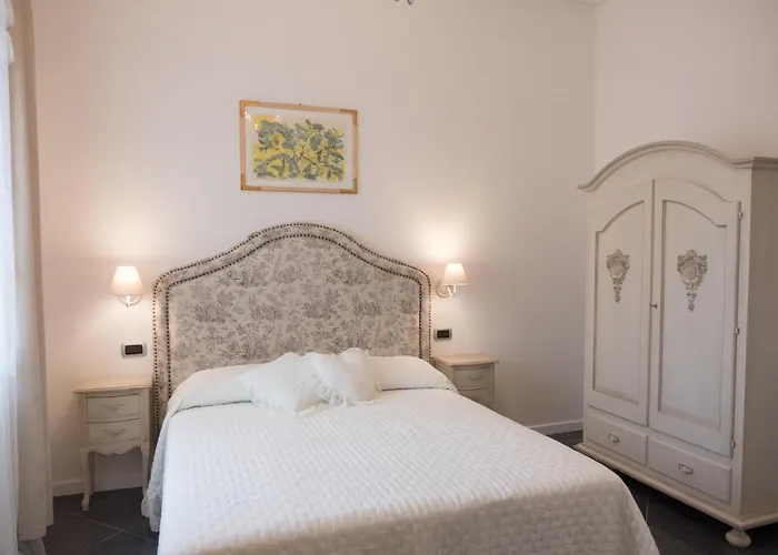 Artemisia * Viareggio